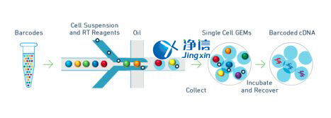 中國(guó)人自己的微流控單細(xì)胞測(cè)序儀來(lái)了！_微流控Drop-seq,微流控技術(shù)